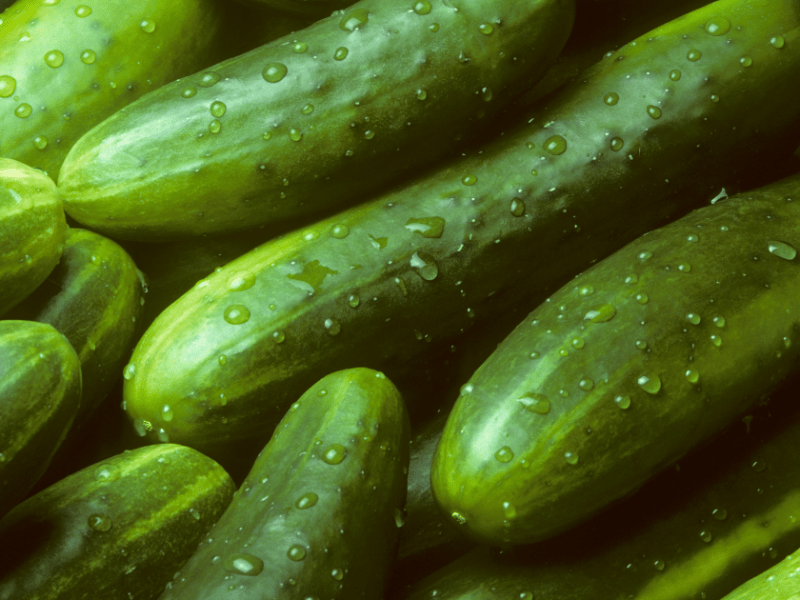 Salade de concombres au&nbsp;sésame